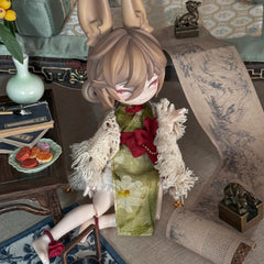 Moon-Hopping Time Bunny Serie BJD Blind Box